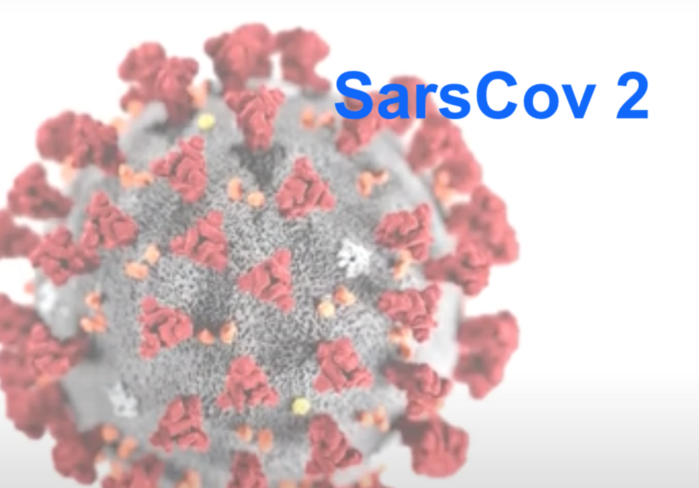 Impfung gegen SarsCov2 durch niedergelassenen Arzt